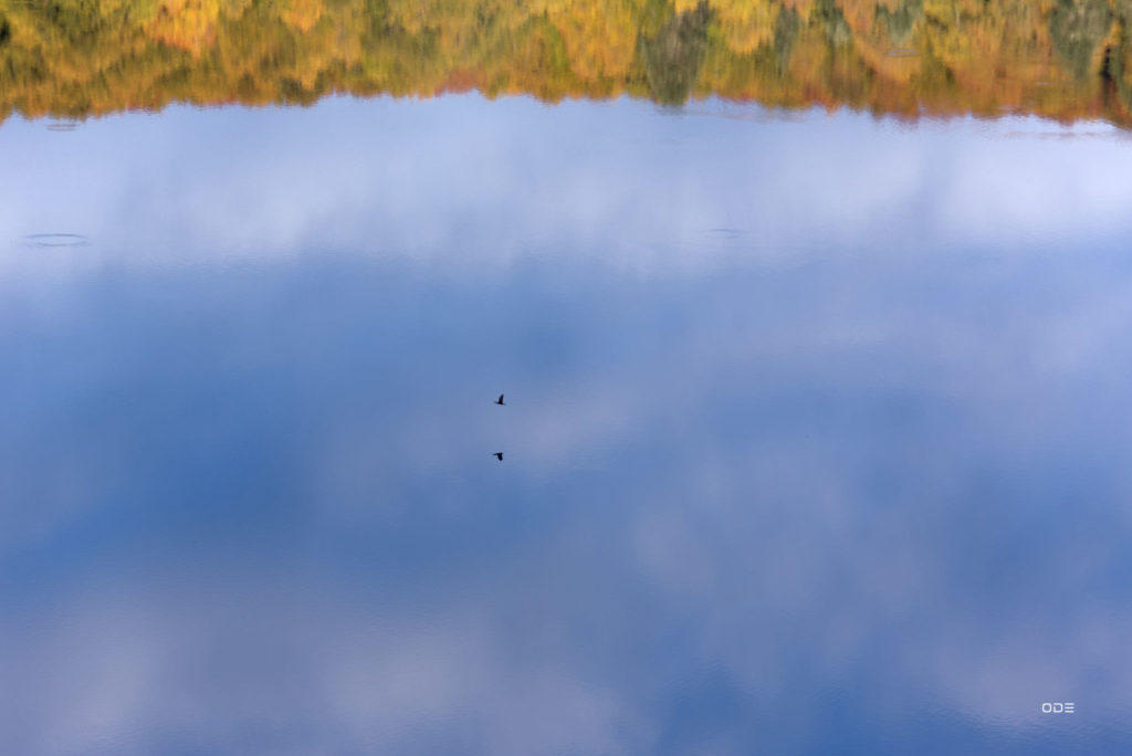 Le Lac Pavin en automne