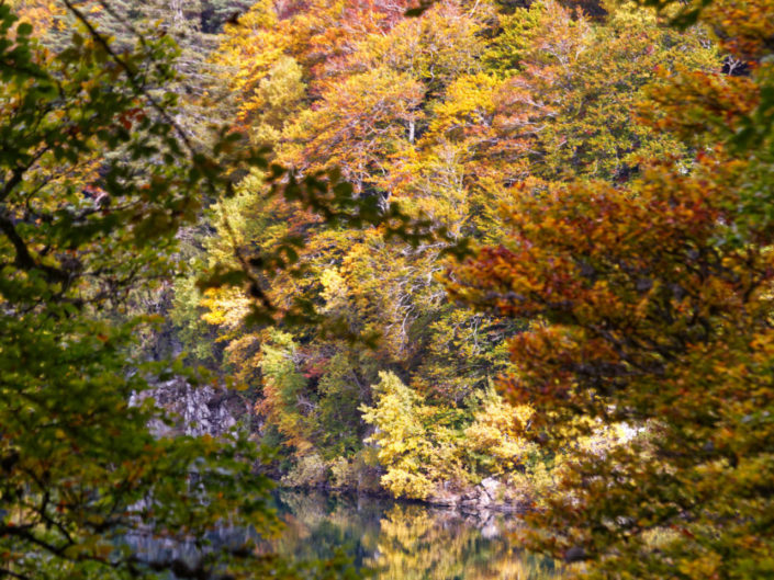 Lac Pavin en automne